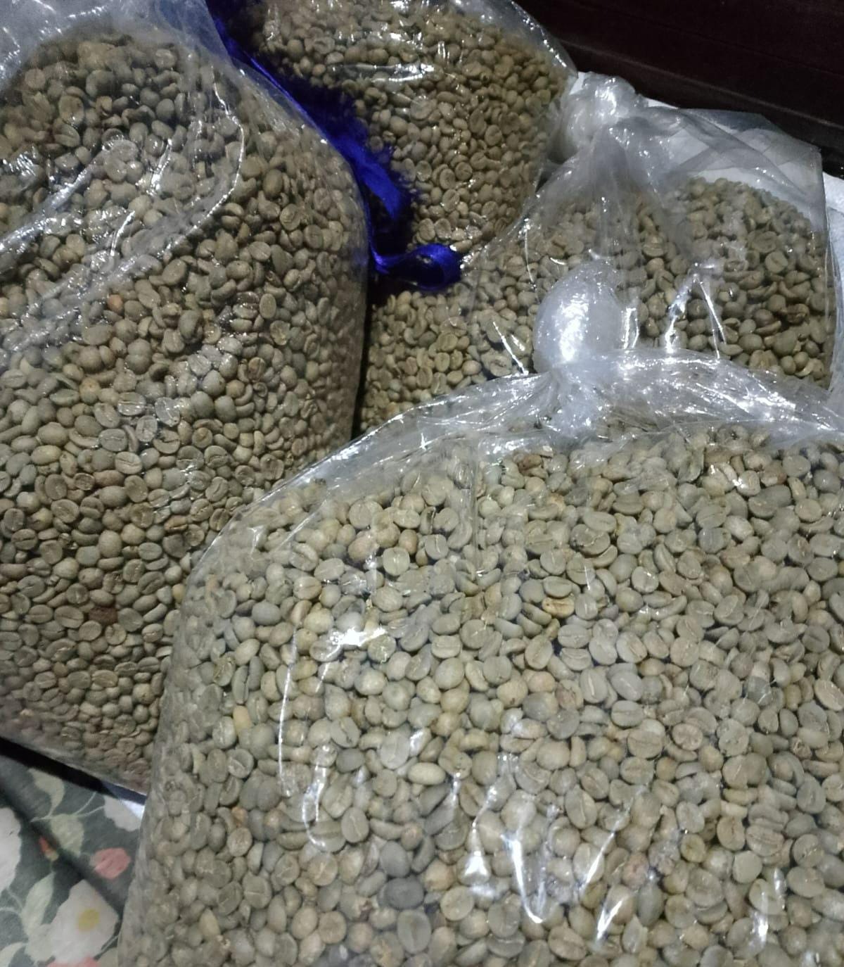 Indonesian Luwak Coffee Supplier from Sumedang: Green Bean & Roasted Bean