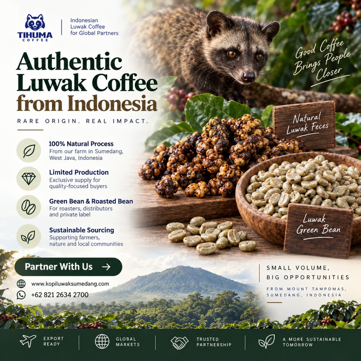 Looking for an Indonesian Luwak Coffee Supplier?