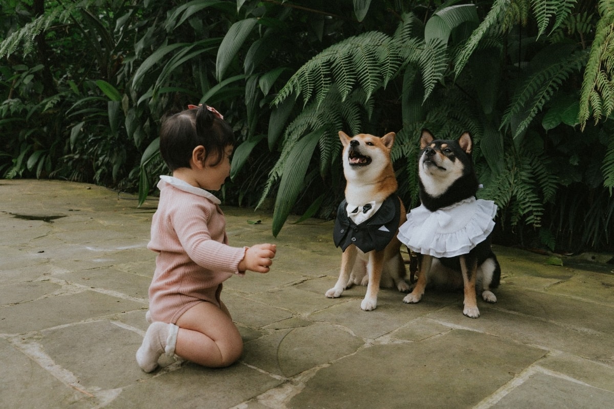 -