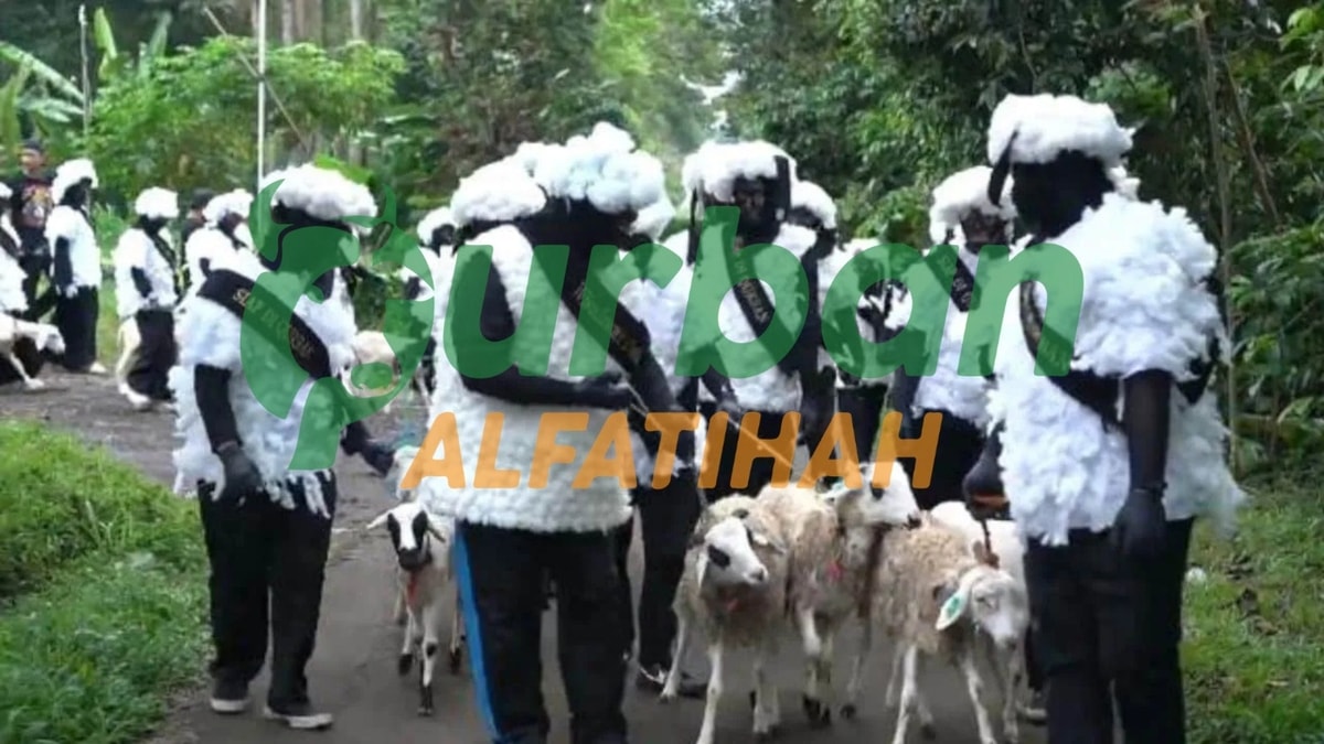 Shaun The Sheep Warnai Perayaan Qurban di Lereng Merbabu, Relawan Gen Z Turut Meramaikan Arak-Arakan Domba