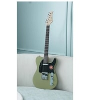Gitar Elektrik Telecaster JS Guitars Munsell Series STD + Free Setting