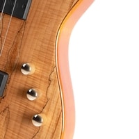 Bass Elektrik Cort Rithimic Nas Bass