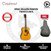 Gitar Akustik Elektrik Tanglewood TW40 D AN E Sundance Historic Original + Free Bag