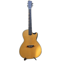 Gitar Akustik Elektrik Rosh by RB Guitar SADA Series Cutaway Body