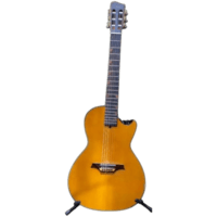 Gitar Akustik Elektrik Rosh by RB Guitar SORA Series Cutaway Body