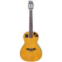 Gitar Akustik Elektrik Rosh by RB Guitar SORA Series Standard Body