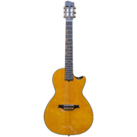 Gitar Akustik Elektrik Rosh by RB Guitar SORA Series Cutaway Body
