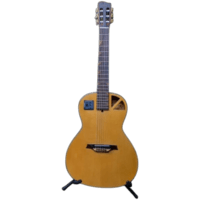 Gitar Akustik Elektrik Rosh by RB Guitar SORA Series Standard Body