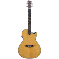 Gitar Akustik Elektrik Rosh by RB Guitar SADA Series Cutaway Body