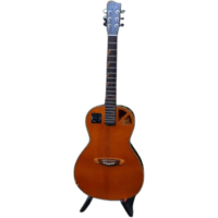 Gitar Akustik Elektrik Rosh by RB Guitar SADA Series Standard Body