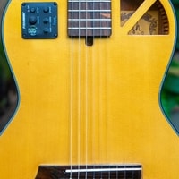 Gitar Akustik Elektrik Rosh by RB Guitar SORA Series Standard Body