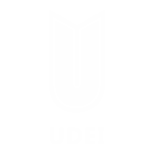 Logo UDEI