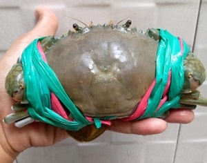 -