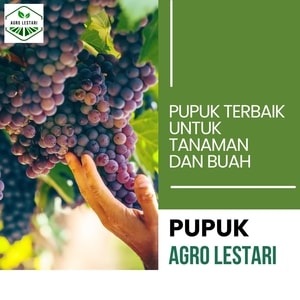 pupuk cair agro lestari