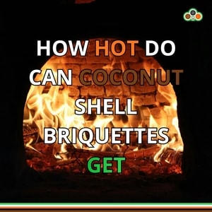 How hot coconut shell charcoal briquettes can get