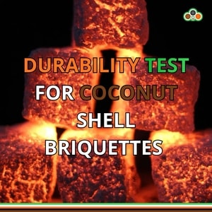 Durability test for coconut shell charcoal briquettes