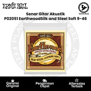 Senar Gitar Akustik Ernie Ball P02051 Earthwood Silk and Steel Soft 12 String Bronze 9-46