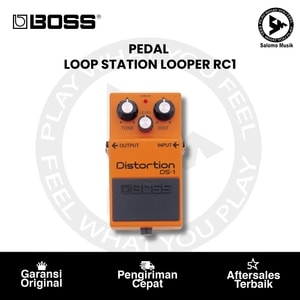 Pedal Effect BOSS DS-1 Distortion Original