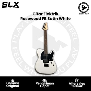 Gitar Elektrik SLX Guitars RAVEN Modern Special Rosewood FB Varian Warna