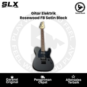 Gitar Elektrik SLX Guitars RAVEN Modern Special Rosewood FB Varian Warna