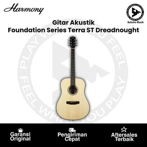 Gitar Akustik Harmony Foundation Series Terra ST Dreadnought Natural Satin