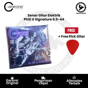 Senar Gitar Elektrik Phill X Signature 9.5-44