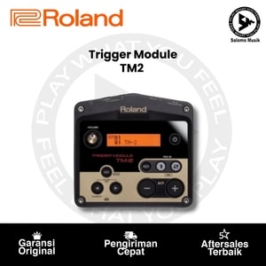 Trigger Module Drum Roland TM-2