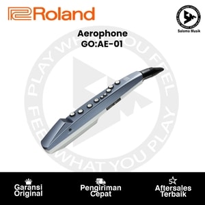 Aerophone Roland GO:AE-01 Aerophone Mini Digital Wind Instrument
