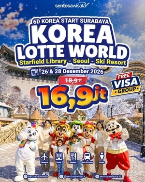 tour korea musim dingin winter