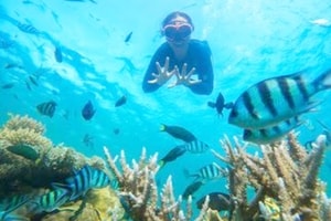 Snorkling Karimunjawa