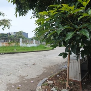 https://www.exera.id/product/category/gudang-disewakan-delta-silicon-lippo-cikarang