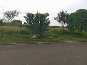 Jual Tanah Industri di Cikarang Deltamas Greendland GIIC Luas 1,1Ha Cikarang Pusat