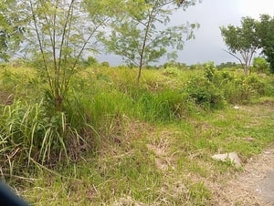 Jual Tanah Industri di Cikarang Deltamas Greendland GIIC Luas 1,1Ha Cikarang Pusat