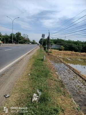 Jual Kavling Patimban Pantura Indramayu Luas 3Ha Pinggir Jalan Raya