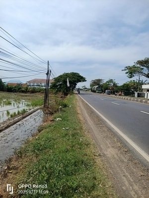 Jual Kavling Patimban Pantura Indramayu Luas 3Ha Pinggir Jalan Raya