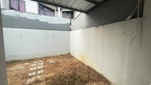 Back yard dengan canopy rumah sewa Silvercreek