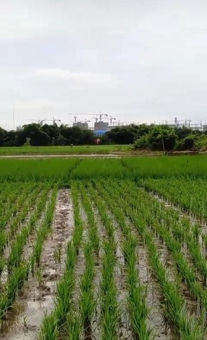 Dijual Kavling Industri dekat Smartpolitan