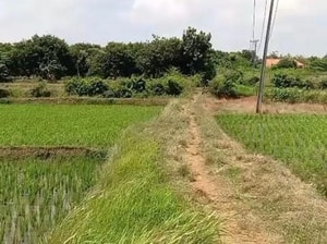 Dijual Kavling Industri dekat Smartpolitan