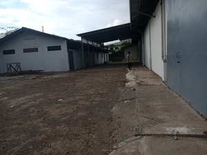 Akses Masuk Sewa Gudang Cikarang Luas 1800 Meter Murah | Exera
