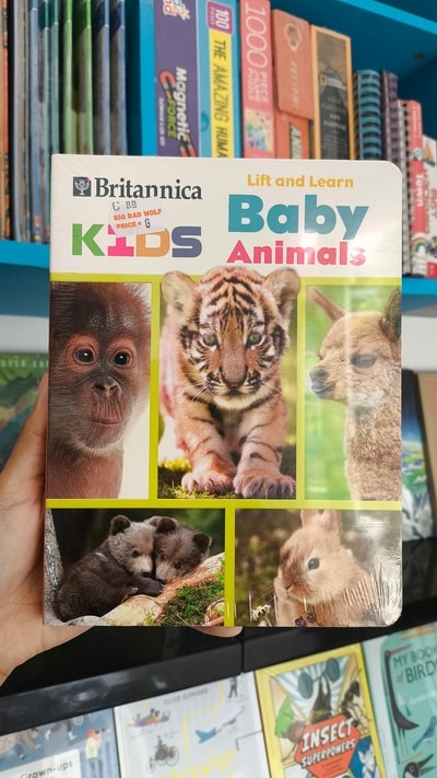 -