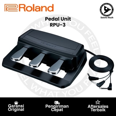 Pedal Unit Roland RPU-3