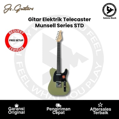Gitar Elektrik Telecaster JS Guitars Munsell Series STD + Free Setting