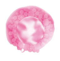 Collagen Peptide & Tripeptide