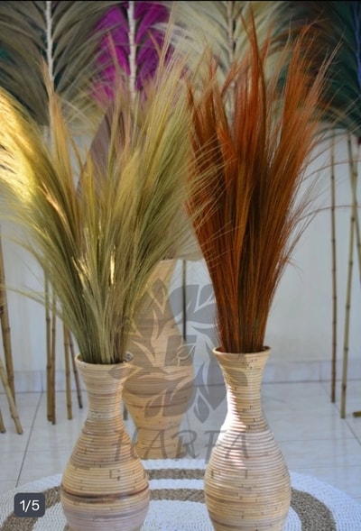 Pampas Rayung Kering (30batang)
