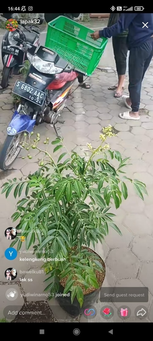 -