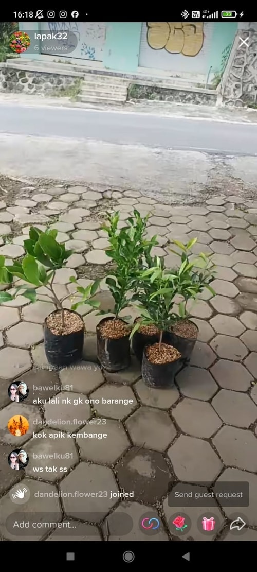 -