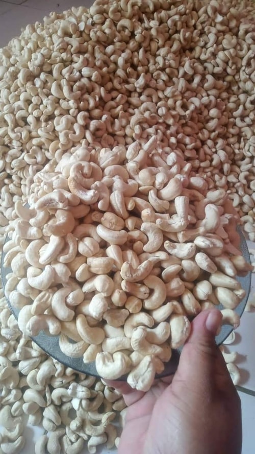 Cashew Nut