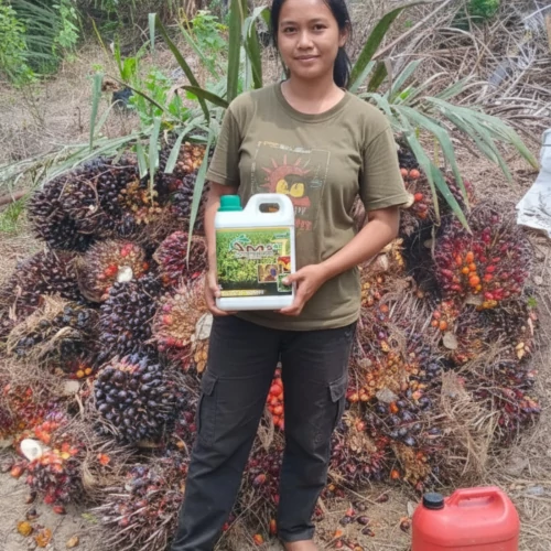 Dokumentasi pengguna AM5+ Riau