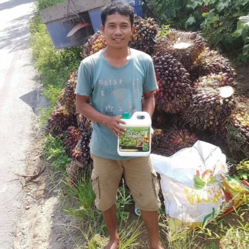 Dokumentasi pengguna AM5+ Bengkulu