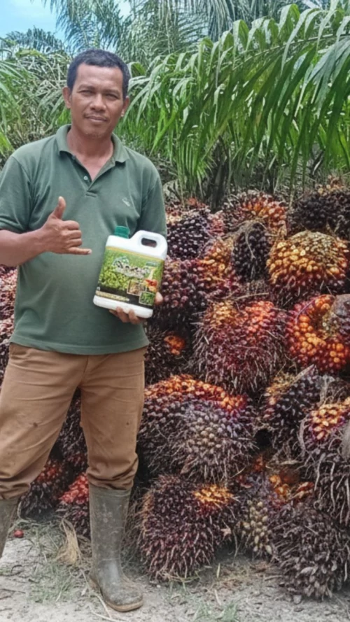 Dokumentasi pengguna AM5+ Kalteng